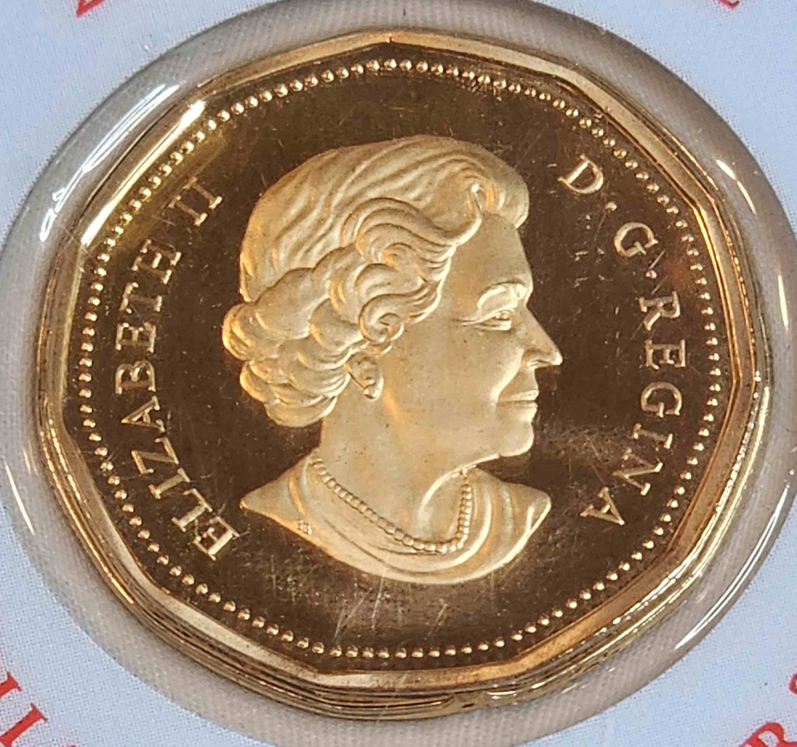 2006-Unlucky-Loonie-Damage?
